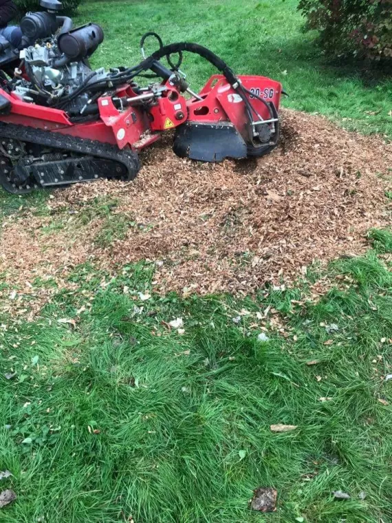 Rognage de souche d'arbre dans les Combrailles
