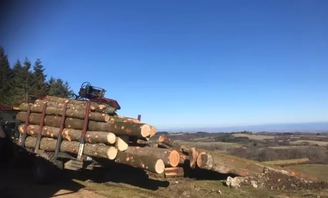 Abattage d'arbre, Clermont-Ferrand, Faure Élagage