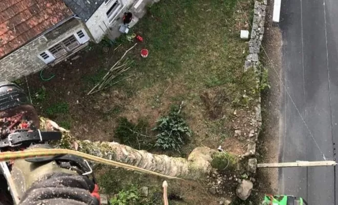 Équipements pour élagage, Clermont-Ferrand, Faure Élagage