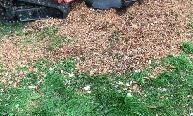 Équipements pour élagage, Clermont-Ferrand, Faure Élagage