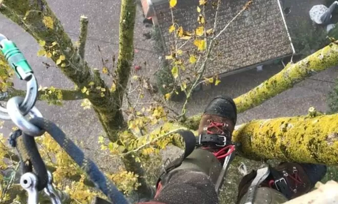 Équipements pour élagage, Clermont-Ferrand, Faure Élagage